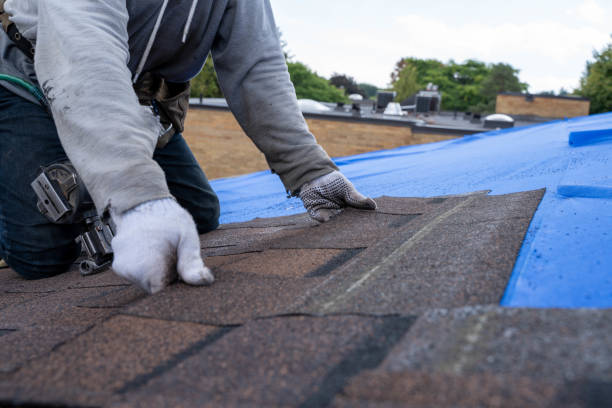 Gutter Installation and Roofing in Ore City, TX